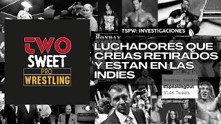 LUCHADORES QUE CREÍAS RETIRADOS Y ESTÁN EN LAS INDIES WRESTLING [upl. by Brand931]