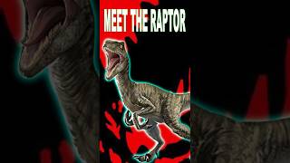 Meet the Real Velociraptor The Ultimate Hunter Revealed shorts [upl. by Werdma665]