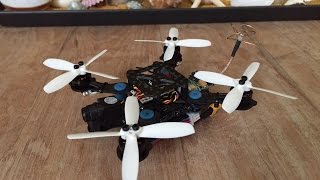 SOSx Wasp BLX 110mm  RotorX 1102 8000kv Motors [upl. by Schnurr]