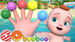 Baby Finger Where Are You  Finger Family Song  Nursery Rhymes amp Babys Songs [upl. by Sobel]