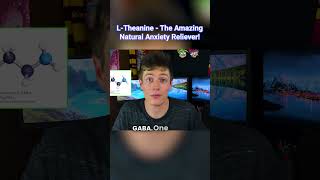 LTheanine Review Best Natural Anxiety Reliever [upl. by Canon]