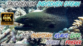 Tauchen im Indischen Ozean 🐠 🐡 🦞 [upl. by Ruder389]