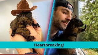 Peanut The Squirrel’s Dad Brusts Into Tears After Pet Euthanized [upl. by Inele]