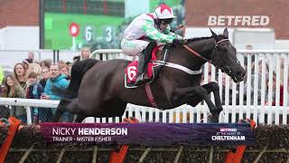 Cheltenham Festival Stable Tour Nicky Henderson amp Mister Fisher [upl. by Anayra]