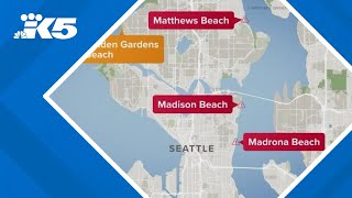 3 Seattle beaches closed due to high levels of bacteria [upl. by Anaitak173]