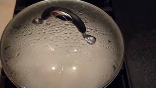 Slow motion pot of boiling water with lid on [upl. by Abil6]