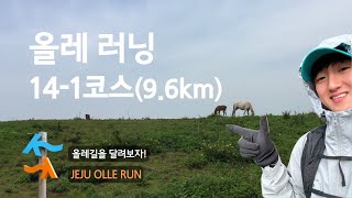 올레길달리기 141코스 곶자왈런🏃🏻 오설록 저지곶자왈 문도지오름 저지리  Jeju Olle Trail 141 Run [upl. by Liliane500]