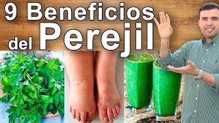 Para Que Sirve el Perejil  Propiedades Beneficios Y Contraindicaciones Del Perejil [upl. by Joeann]