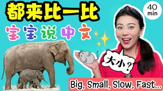 宝宝学说话 比一比大小长短 中文儿歌 幼儿早教 宝宝学中文Big Small long short and more  Baby amp Toddler Learning Chinese [upl. by Yelraf]