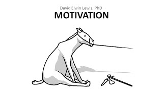 111 Motivation [upl. by Aloel]