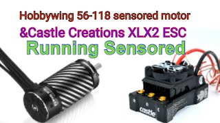 Hobbywing sensored 56118 motor amp Castle ESC SENSORED amazing newstatus comment art best [upl. by Kroo702]