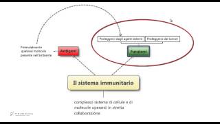 56  Sistema immunitario Riassunto e schema per il test di medicina [upl. by Jerrol]