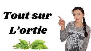 Quels sont les bienfaits de lortie detox ortie printemps [upl. by Mavra]