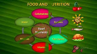 Digestion and Absorption Part 1  NEET 2023 Revision  Human Alimentary Canal  Class 11 [upl. by Gradeigh678]