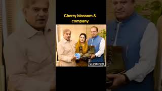 Marium nawaz funny 🤣 imrankhan politics pti trend politicalnews shortsvideo isf ytshorts [upl. by Reham]