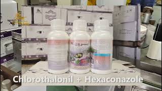 Chlorothalonil 250 GL  Hexaconazole 50 GL SC，Chlorothalonil  Hexaconazole，Mixture Fungicide [upl. by Alithia661]