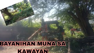 HINAKOT NA MUNA NAMIN ANG MGA KAWAYAN SA LUCKY FARM [upl. by Ledeen]