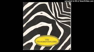 Teardrop Explodes  Reward 1980 demo magnums extended mix [upl. by Akimahc]