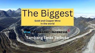 The Biggest Gold And Copper Mine FREEPORT INDONESIA Tambang Emas Terbesar di Dunia [upl. by Rma184]