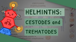 Helminths Cestodes and Trematodes transmission clinical importance and treatment [upl. by Paquito204]