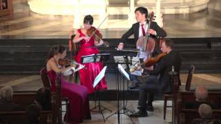 Attacca Quartet plays Haydn Op 76 no 2 quotFifthsquot  Second Movement [upl. by Cordeelia]