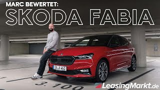 Skoda Fabia Test  Vorteile und Nachteile 👍👎 [upl. by Fey]