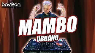 Mambo Urbano Mix 2021  2  Best Mambo Urbano amp Mambo Remix 2021  Merengue Mambo 2021 by bavikon [upl. by Dorreg]