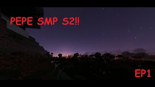 PSMP S2 what the heck [upl. by Kinchen]