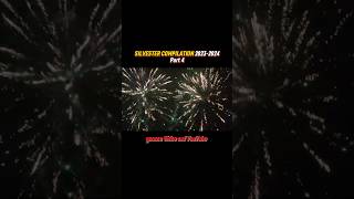 SILVESTER COMPILATION 20232024🧨  Part 4 [upl. by Esilec433]