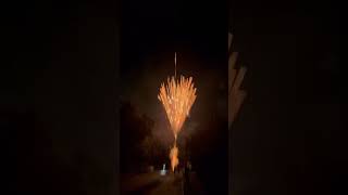 5quot Raccoon Nishiki Willow Firework 13g Shell Demo [upl. by Robillard366]