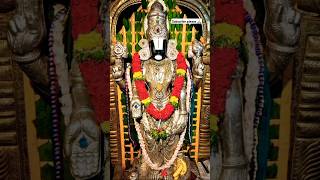 Shree Venkateshwara 🙏😱🚩 Tirupati balaji status video  shorts youtubeshorts viralvideo [upl. by Sall716]