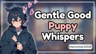 ASMR Whispered quotGood Puppyquot Comfort Gentle Close Whispers amp Mic Scratching M4M [upl. by Donahoe]