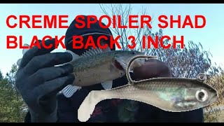 CREME SPOILER SHAD BLACK BACK 3 INCH [upl. by Namara418]