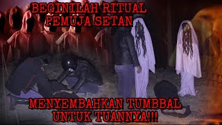 SARANG JIN  ANAK YATIM DITUMBALKAN AYAH TIRI  MENGINTIP ISTANA PARA JIN [upl. by Nylcsoj]