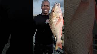 I NEEDED HELP to land this BIG Snapper from a FL Keys Bridge snapper fishing [upl. by Jan]