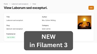 NEW in Filament 3 Infolist Builder [upl. by Anaile]