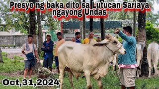 Marami parin mga bumibili kahit UNDAS  Fattining at Patabaing baka [upl. by Namas]