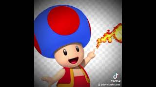 Toad turns into fire flower VilgotEriksson HotpointLaundryExpertPro bonitathegamergirl [upl. by Dyke]