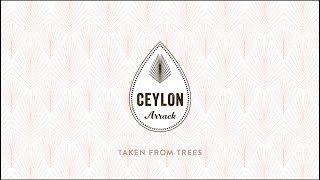 Ceylon Arrack  How its made [upl. by Bayly226]