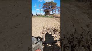 Using a drag harrow with my 1936 Farmall F12 [upl. by Tnert]