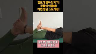 무릎아플 때 꼭 해보세요 엎드려서 1분만하면 허벅지 앞쪽 근육 돌덩이 되고 척추 허리 강화됩니다 신전운동 요통 스트레칭 요추전만brighthealth 스트레칭 [upl. by Esten]