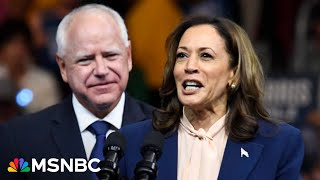 ‘She’s taking Republicans away from Trump’ Pollster reveals shocking new data for Harris [upl. by Reece]