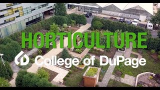 Get Your Degree or Certificate in Horticulture at College of DuPage [upl. by Tore688]