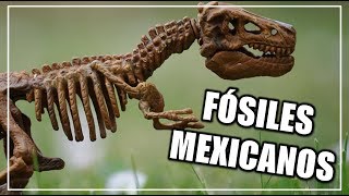 ¿Qué fósiles han sido encontrados en México  CIENCIA A LA MEXICANA [upl. by Valma]