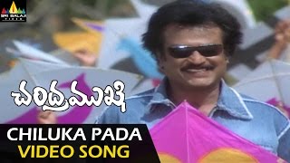 Chandramukhi Video Songs  Chiluka Pada Pada Video Song  Rajinikanth Jyothika Nayanatara [upl. by Nasus]