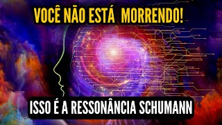 VOCÊ NÃO ESTÁ MORRENDO É A RESSONÂNCIA SCHUMANN [upl. by Eissac]