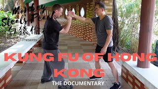 Hang Ngs Combat System p2  Kung Fu of Hong Kong ep9 EvosBasics ​⁠kungfuronin [upl. by Aivizt]