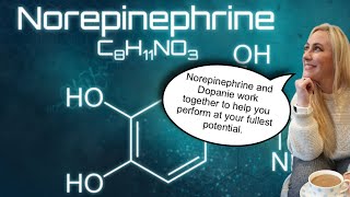 Norepinephrine Dopamine amp Cortisol with Behavior Scientist Marilu Hayes [upl. by Eglanteen]