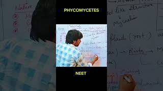 BI0LOGICAL CLASSIFICATION II PHYCOMYCETES II NEET II NADEEM sir education neetbiology [upl. by Diraj]