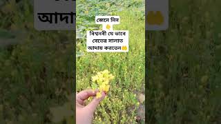 বিশ্বনবী যে ভাবে বেতের সালাত আদায় করতেন mizanurrahmanazhari waz shortvideos namaz foryouduet [upl. by Annabelle]